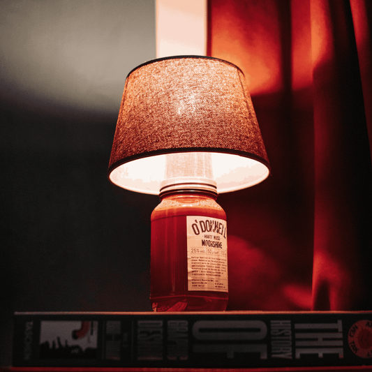 Das neuste Upcycling-Projekt: Die O'Donnell Lampe