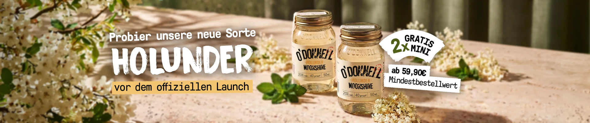 Zwei kleine O'Donnell Moonshine Holunder-Minigläser stehen inmitten von weißen Holunderblüten im warmen Sonnenlicht.